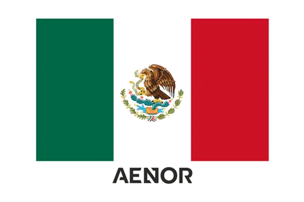 Nueva web AENOR México