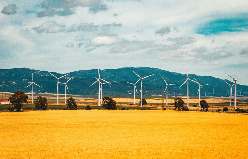 Experto/a en Gestión Energética